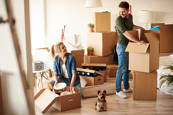 House Removal Image
