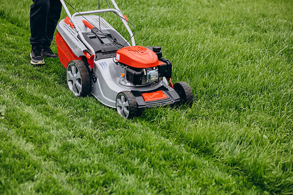 Lawn Moving Image