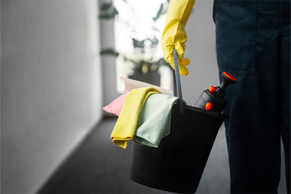 Ndis Carpet Cleaning Services Image