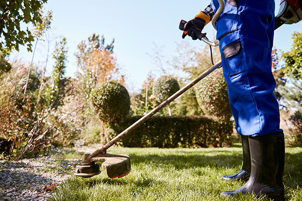 Ndis Garden And Lawn Maintaince Image