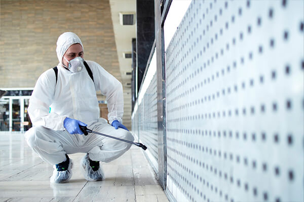 Specialised Disinfect Cleaning Image