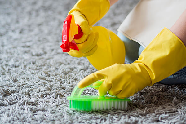 Carpet Rug Cleaning Image