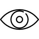 Vision icon