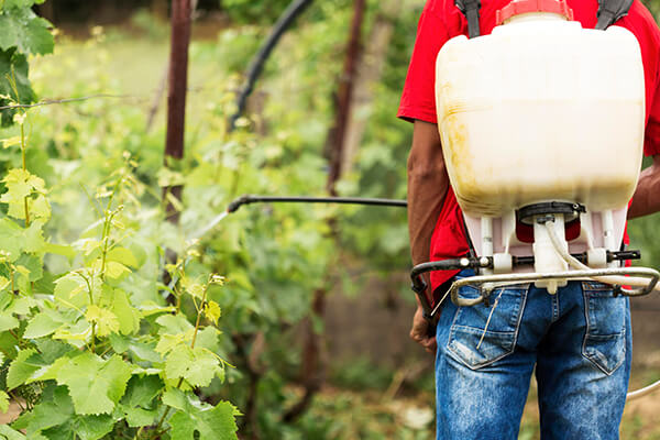 Weed Spraying Img